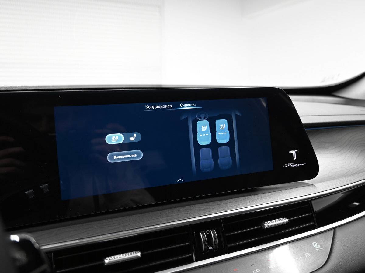 Chery Tiggo 8 Pro Max с пробегом — 2024 год. Фото: #18